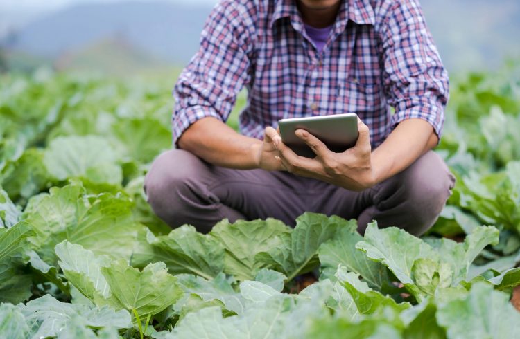 a man kneeling in a field holding a tablet