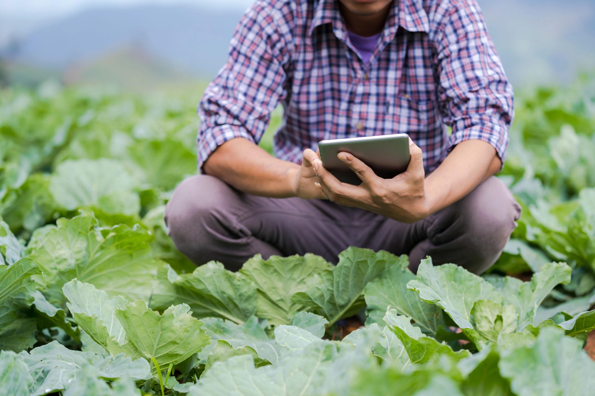 a man kneeling in a field holding a tablet